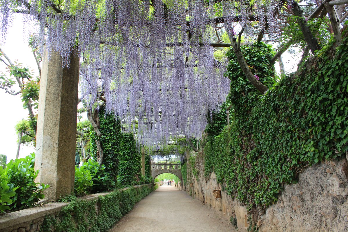 Raconets tweet media