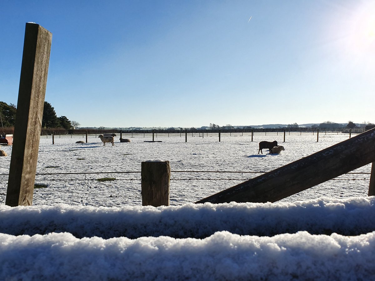 Winter scenes at Beds RCC ❄️🥰