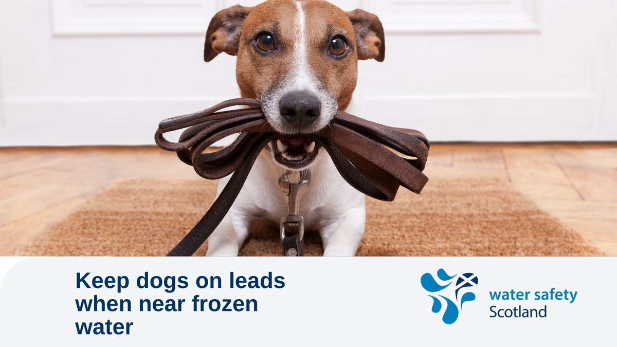 Be prepared this winter: tinyurl.com/2vdzezkv