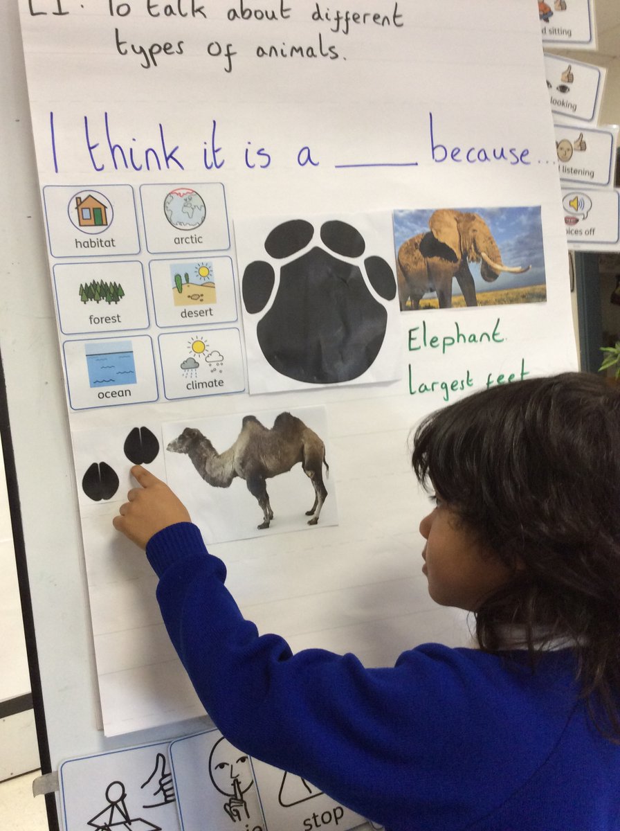 Foxfield - Reception tweet media