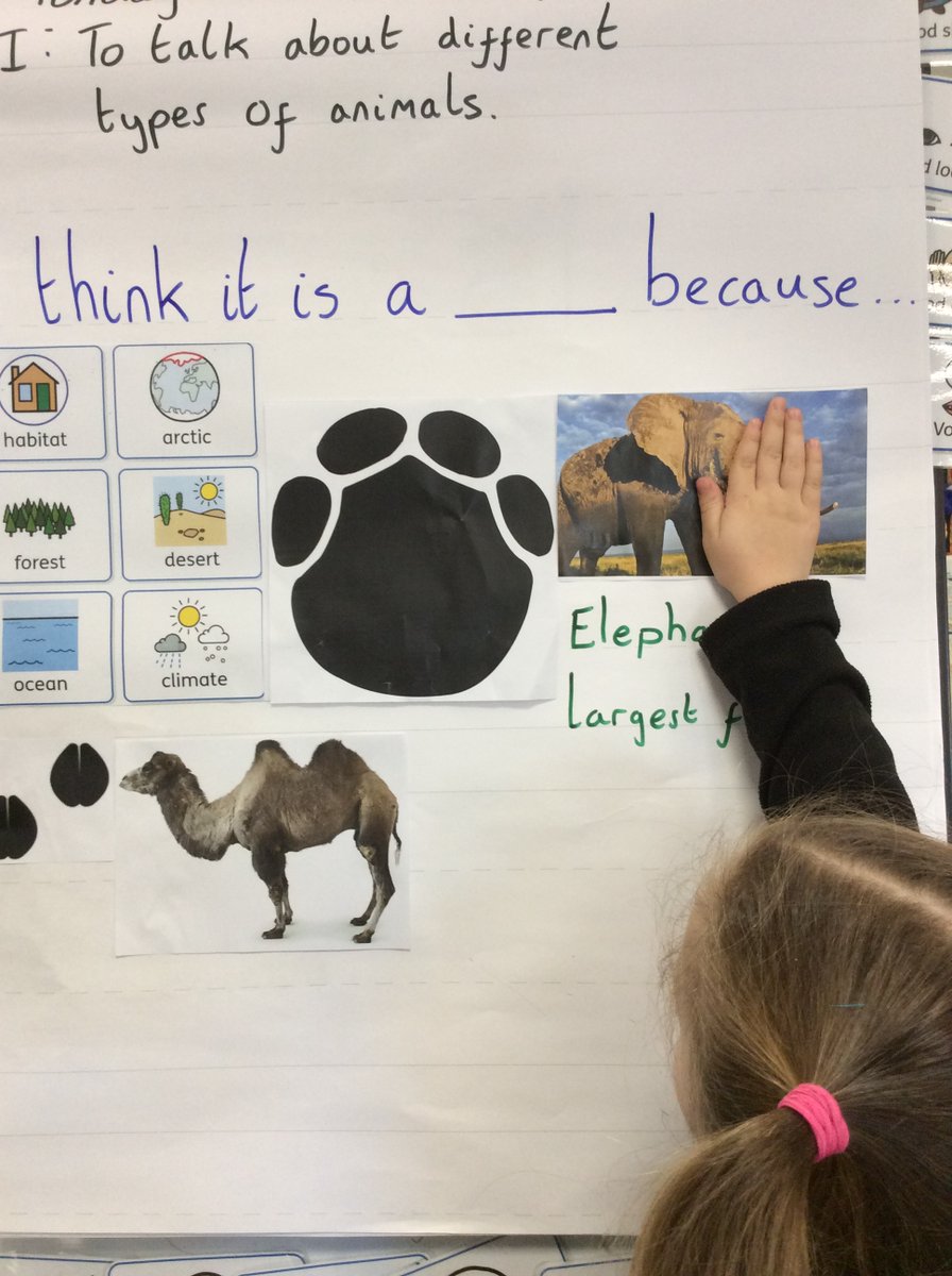 Foxfield - Reception tweet media