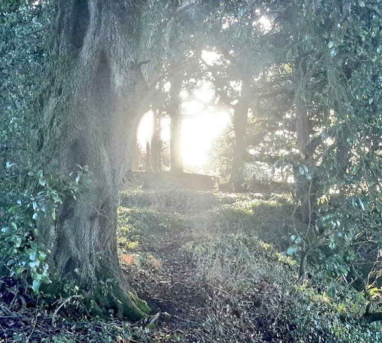 Cian McCarthy tweet media