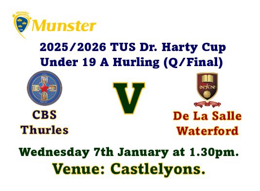 Castlelyons GAA Club tweet media