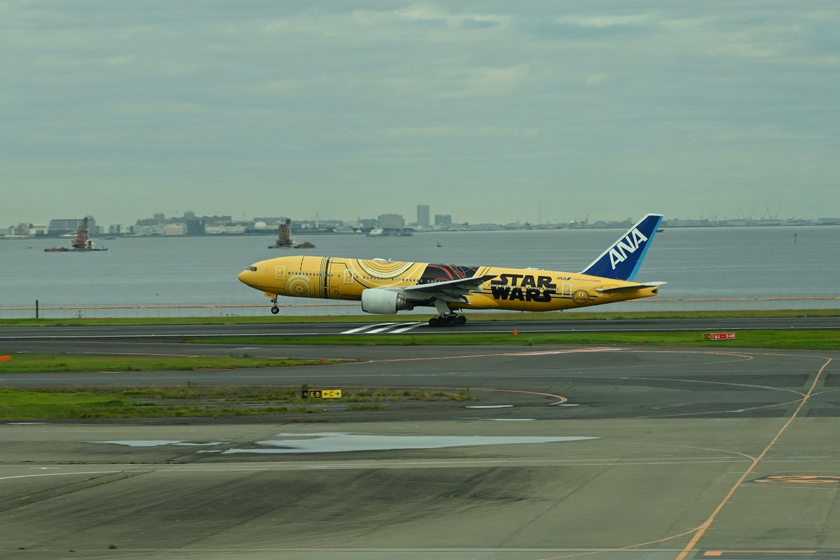 たくあんまともに撮ったの コレしか無くて もっと真面目に取り組めば