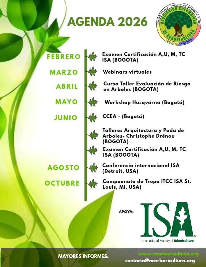 ACA_ARBOR's tweet photo. Conoce sobre nuestras actividades para los siguientes meses del 2026 🌳🌳 https://t.co/JIhXTIn47k