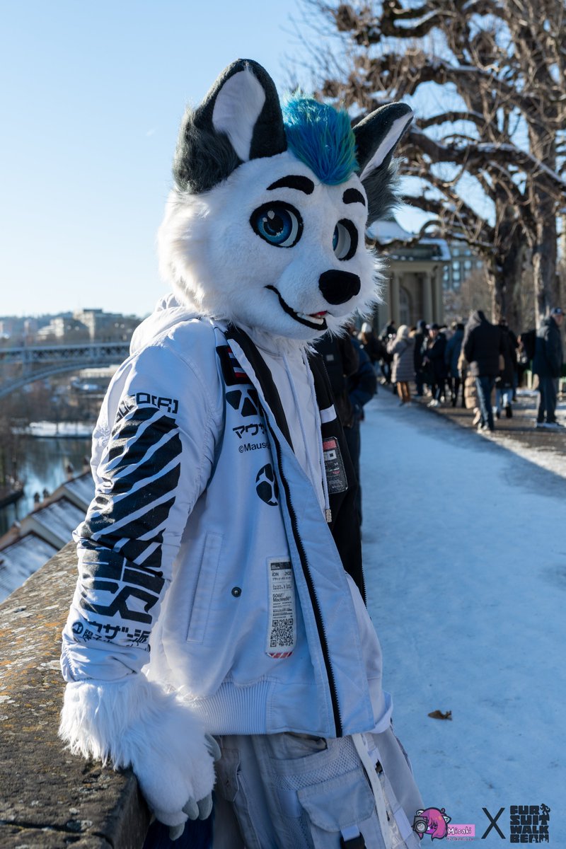 WhitePoint | The Local Arctic Fox tweet media