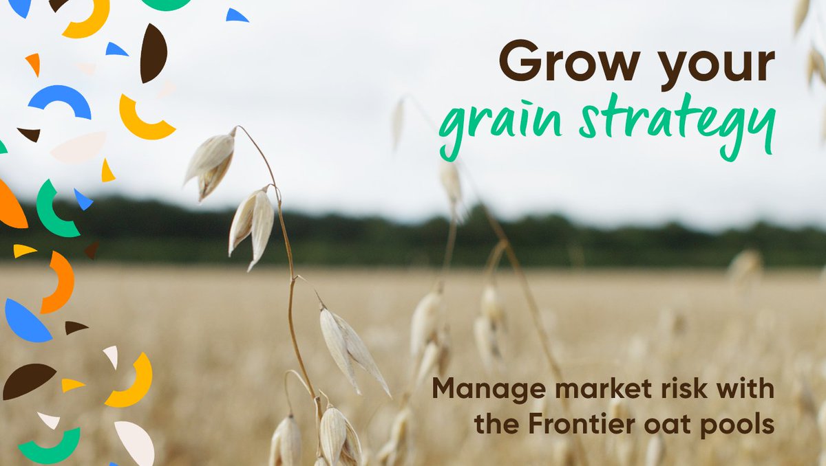 FrontierAg's tweet image. Winter oats offer strong agronomic benefits and solid returns, especially for milling. Our oat pools secure premiums, cut market risk, and give members exclusive supply to Navara - Europe’s most advanced mill. 

Learn more: loom.ly/KCwLT08