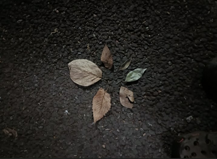 ねる会議 tweet media