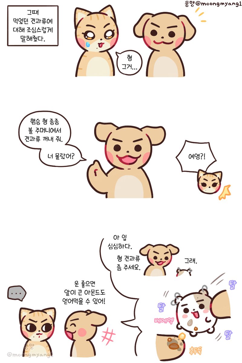 moongmyang1's tweet image. 너 몰랐어?