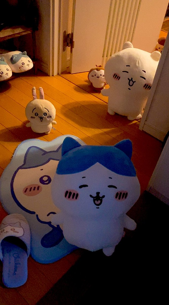 おかえりー！！！