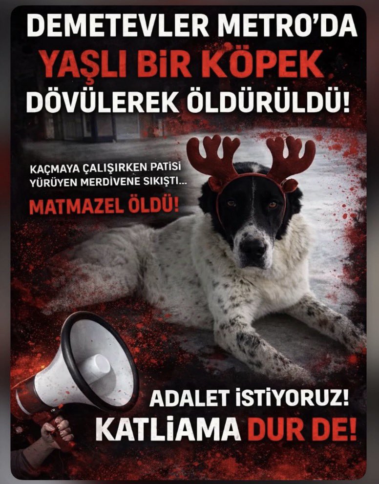 CrazyDaisyMls's tweet photo. Bu öfke bu nefret,neden ya neden?Donarak ölmemek için sığındıkları yerlerde dövülerek
öldürülüyorlar lanet olsun size.
Ne oldu bu insanlara ne ara bu kadar kötü acımasız oldunuz? İnsanlığınızı kaybettiniz? 
Sizinle aynı yeryüzünde yaşadığım için utanıyorum! #matmazeliçinadalet https://t.co/KWwjteo8qx
