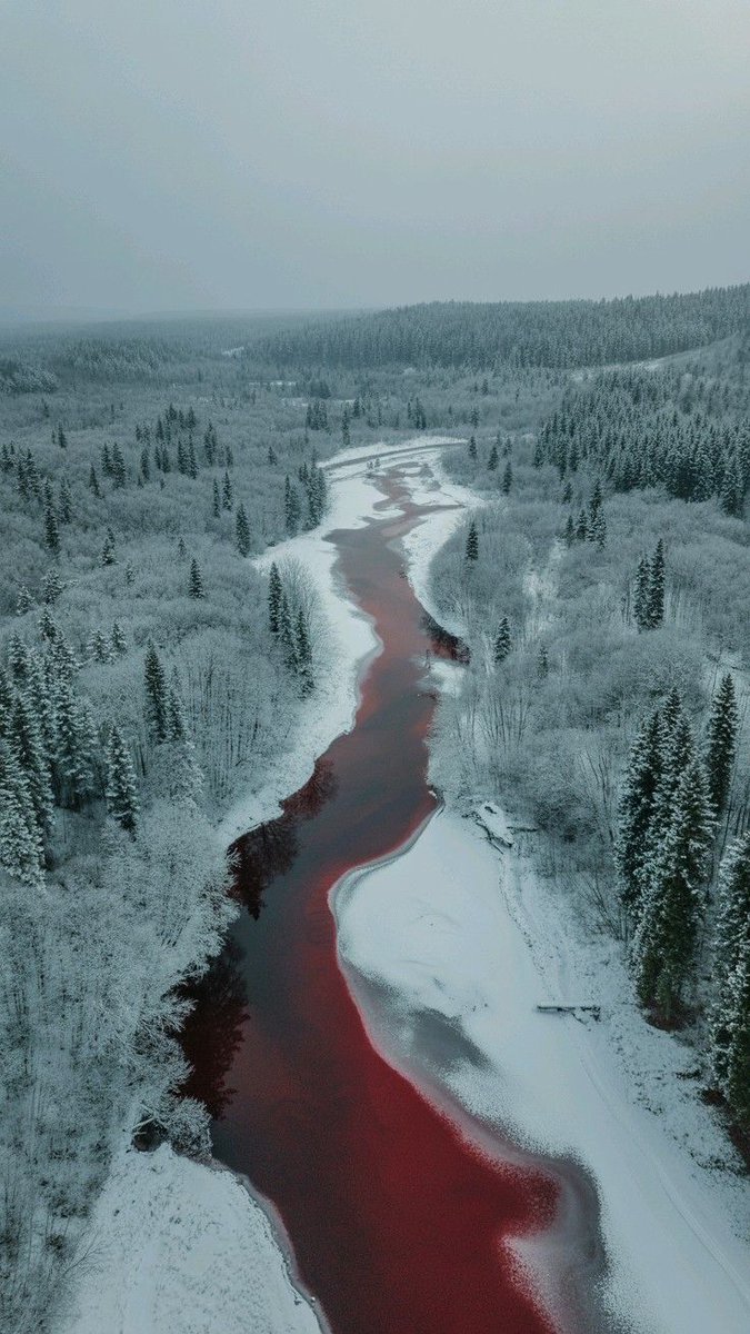 WikingWings's tweet image. 