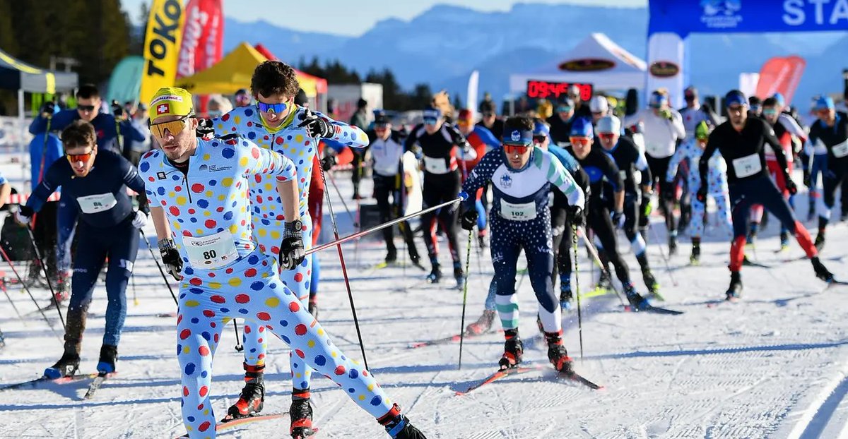 International Bern Welcome Desk tweet media
