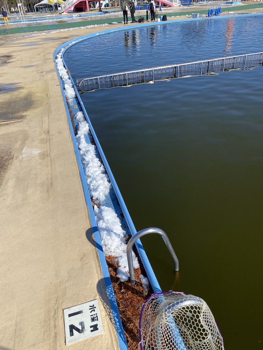 nobusanfishing's tweet photo. 1/3土曜日
やっと時間が出来てしらこばと水上公園のトラウトに行ってきました。
年末は行けなかったので半月ぶりくらい？
前に行った時は落ち葉の色素で水が真っ茶色＆どの層も落ち葉がルアーに絡まる状態でしたが、水色は写真くらい。葉っぱの絡みも少なかったです。
え？釣果？
え？？ https://t.co/TdVRJTiXZu