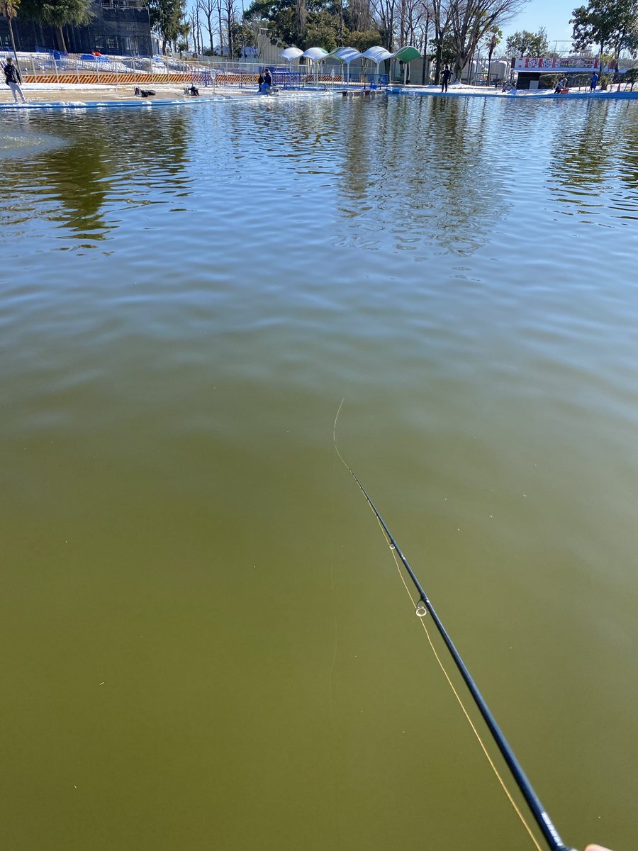 nobusanfishing's tweet photo. 1/3土曜日
やっと時間が出来てしらこばと水上公園のトラウトに行ってきました。
年末は行けなかったので半月ぶりくらい？
前に行った時は落ち葉の色素で水が真っ茶色＆どの層も落ち葉がルアーに絡まる状態でしたが、水色は写真くらい。葉っぱの絡みも少なかったです。
え？釣果？
え？？ https://t.co/TdVRJTiXZu