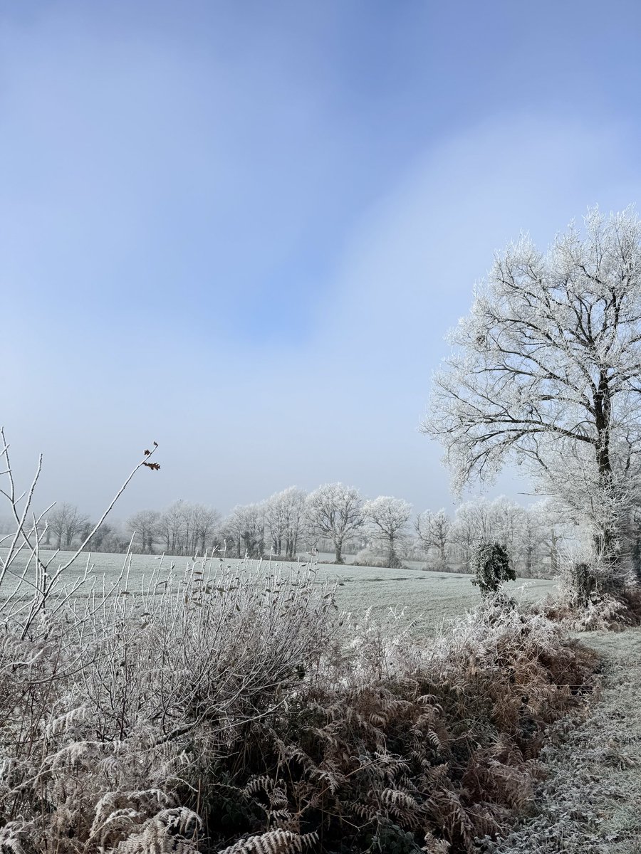 Vetcook 👨🏽‍⚕️ 🌍 🐝 👨🏾‍🍳 🎪 (@vetcook) on Twitter photo 