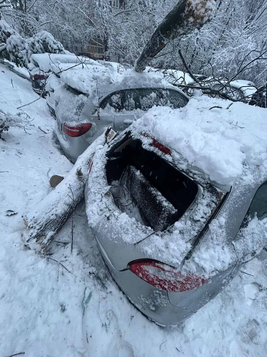 SSP_Rakovica's tweet image. U Rakovici parkiraš auto i moliš se da drvo ne padne baš na njega . Danas u Stanka Paunovića Veljka  palo je drvo na  parkirane automobile .Ovde se deca sankaju i igraju , samo pukom srećom niko nije povređen.
Gradsko zelenilo i gradske vlasti, kao i obično ne rade ništa.