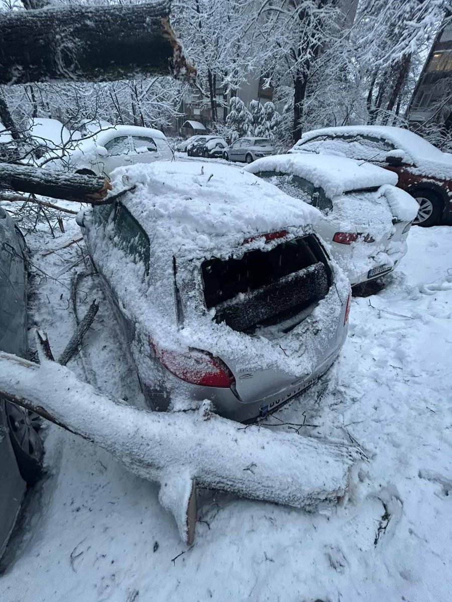 SSP_Rakovica's tweet image. U Rakovici parkiraš auto i moliš se da drvo ne padne baš na njega . Danas u Stanka Paunovića Veljka  palo je drvo na  parkirane automobile .Ovde se deca sankaju i igraju , samo pukom srećom niko nije povređen.
Gradsko zelenilo i gradske vlasti, kao i obično ne rade ništa.