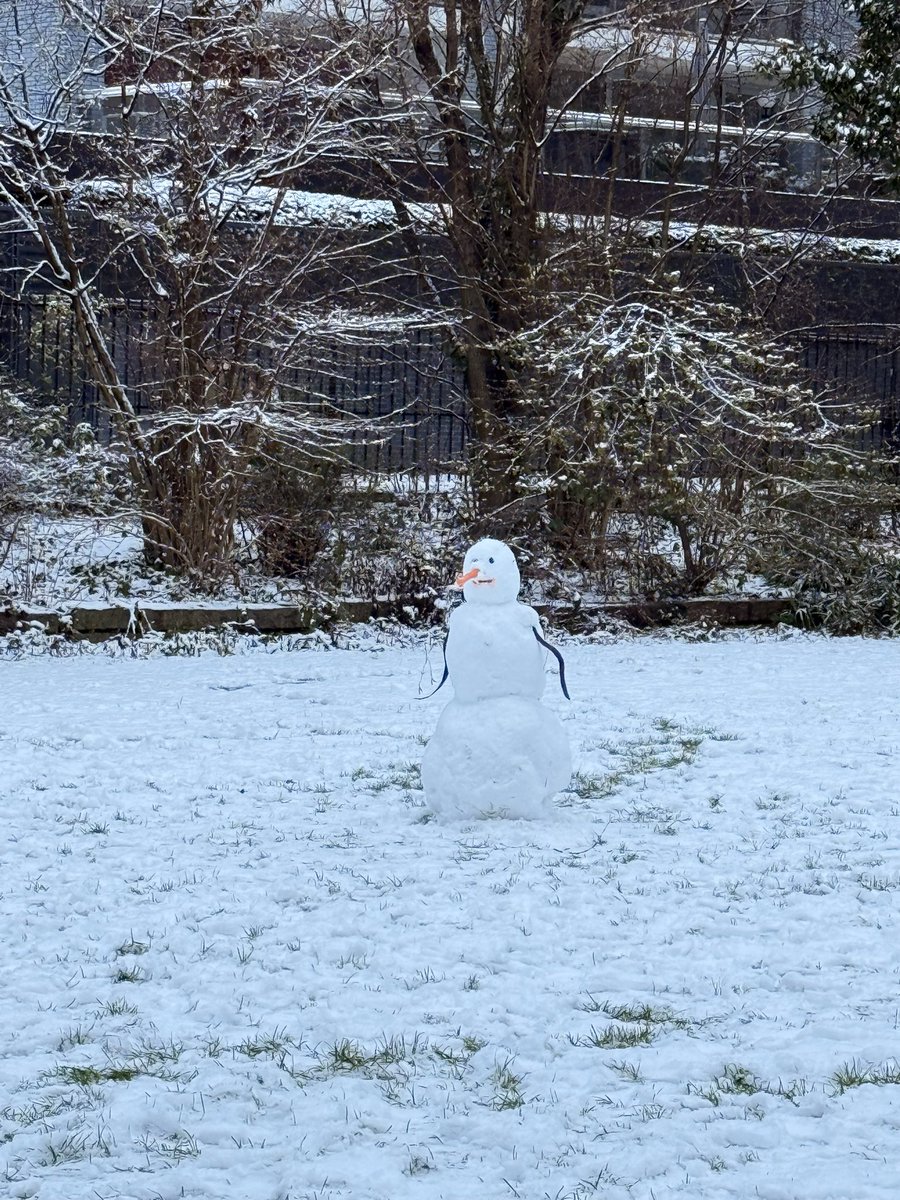 SeboStam's tweet image. Holy shit i love sneeuw