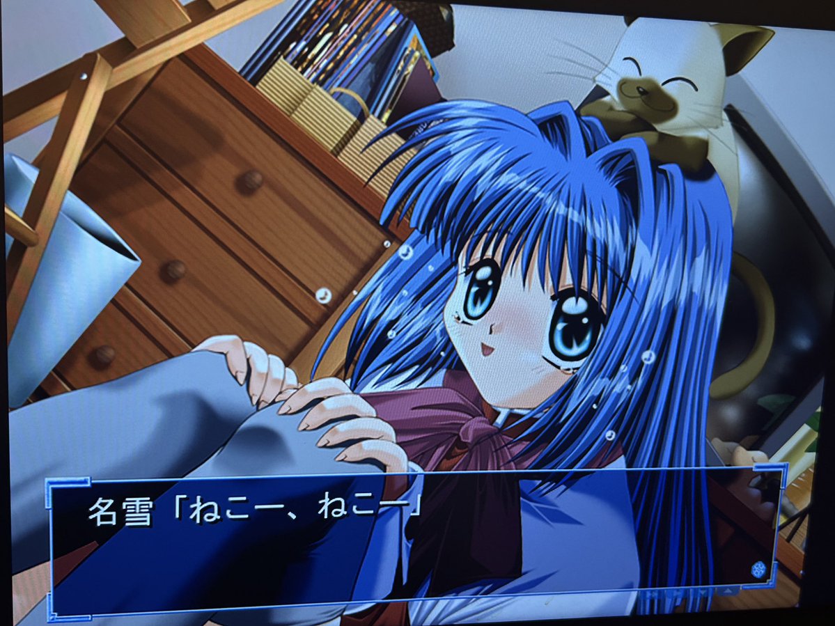 Post by こちゃん on X: ねこー🐱