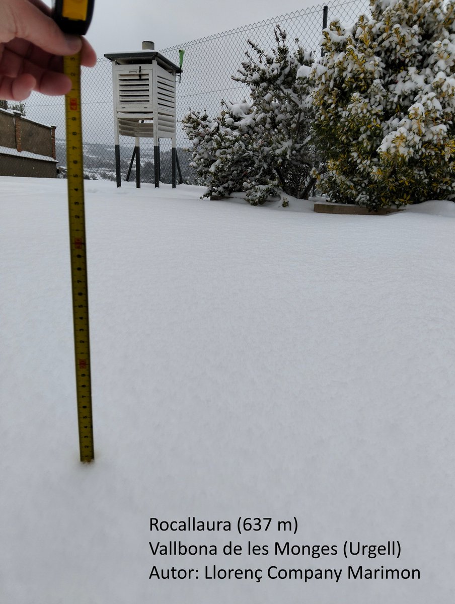 Meteocat tweet media