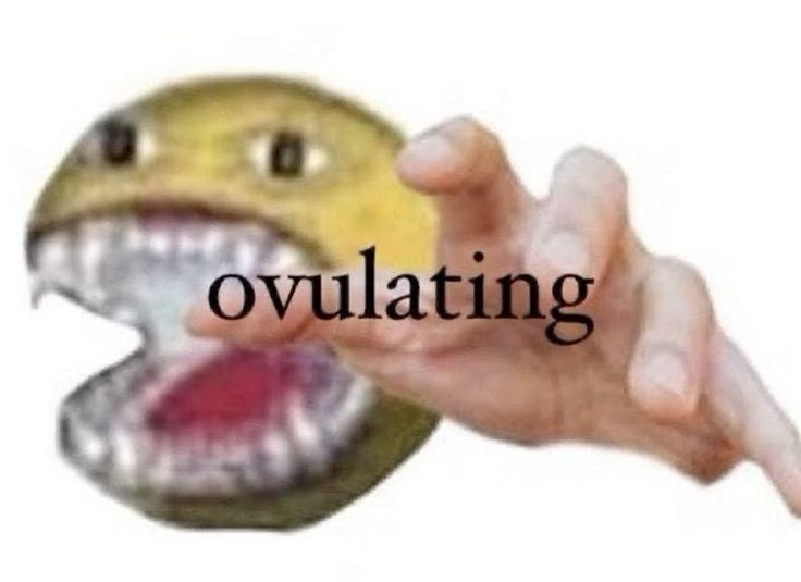 wifehearted's tweet image. up next!