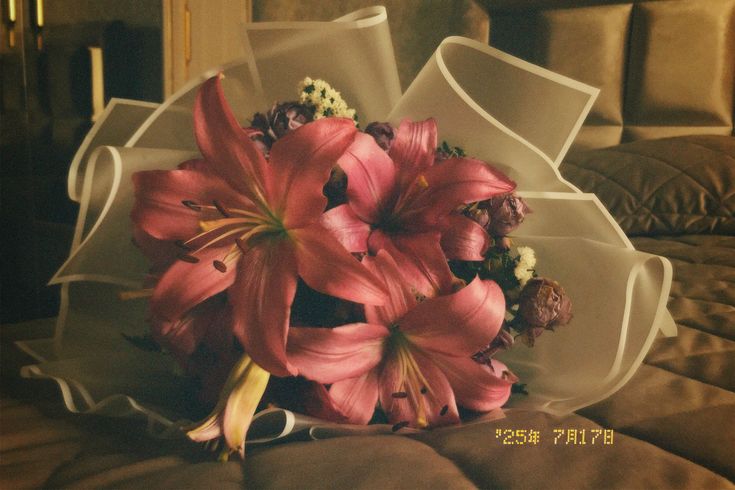 chaarpaai's tweet image. 