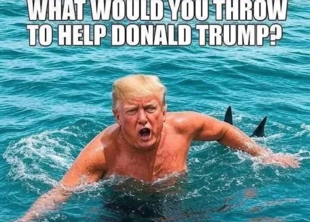 Glenn Tunes tweet media