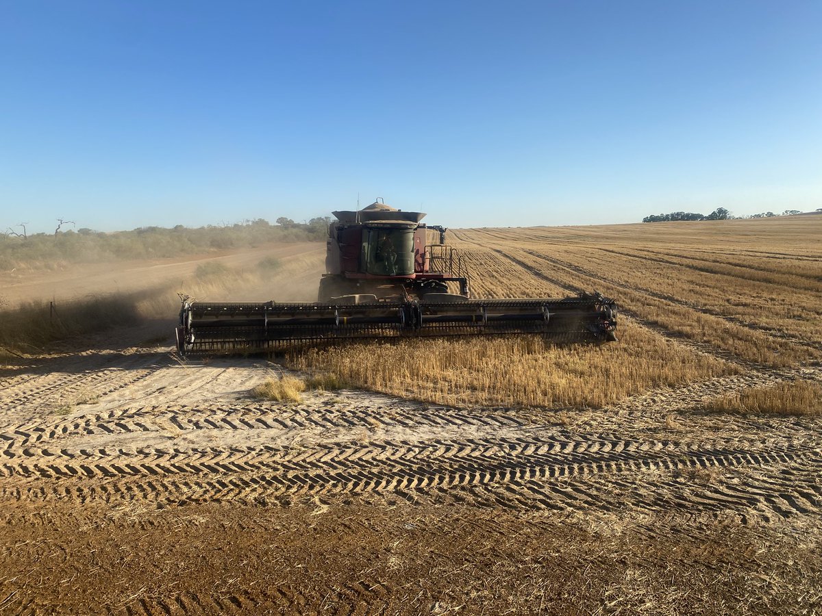 Jim Heal tweet media