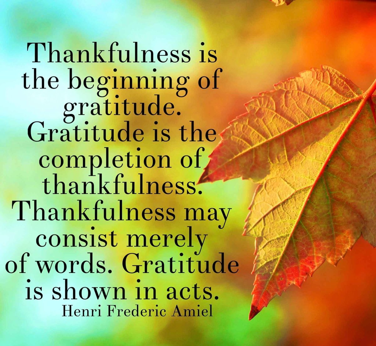 Steve Keating tweet media