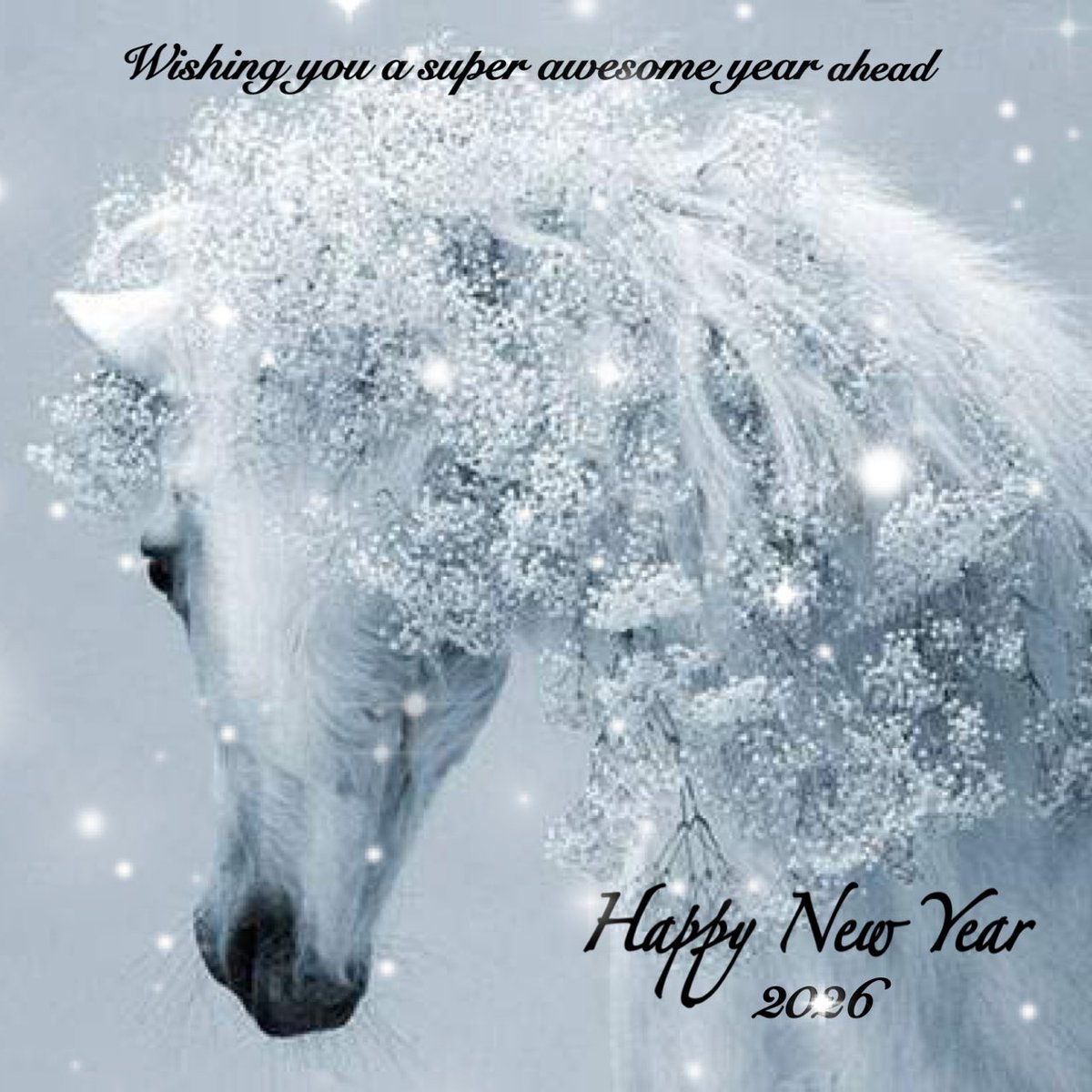 本年もどうぞよろしくお願いいたします🐥💭