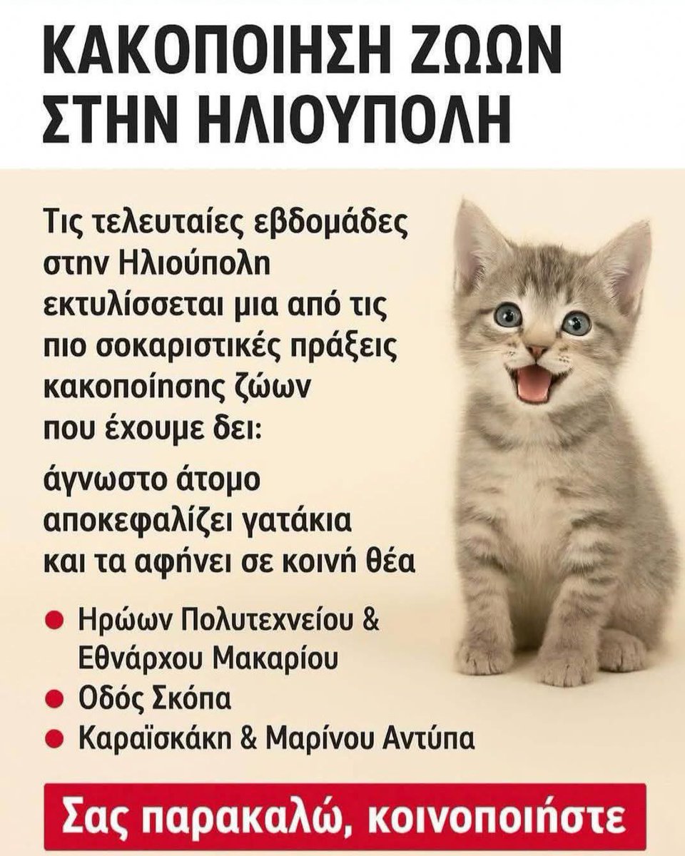 Rika Passa (@rikoulini) on Twitter photo 