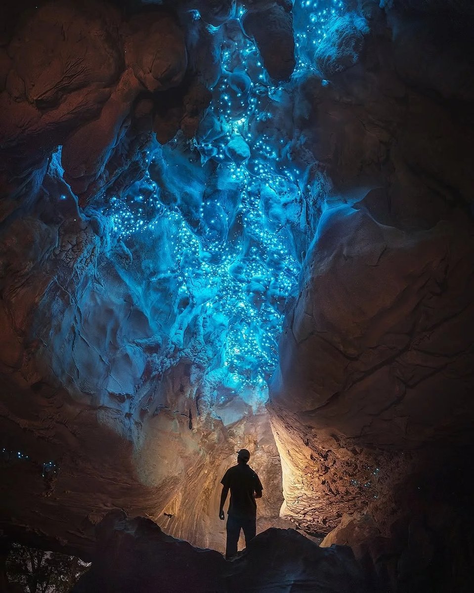 MermelVibes's tweet photo. Starry night... underground? 🇳🇿✨ The Waitomo Glowworm Caves are lit up by thousands of tiny glowworms unique to New Zealand. Floating through this cave in silence feels like drifting in space. Pure magic. 🌌🛶
#Waitomo #NewZealand #Glowworms #Nature #Caves #Travel
Waitomo Caves, New Zealand 🇳🇿
