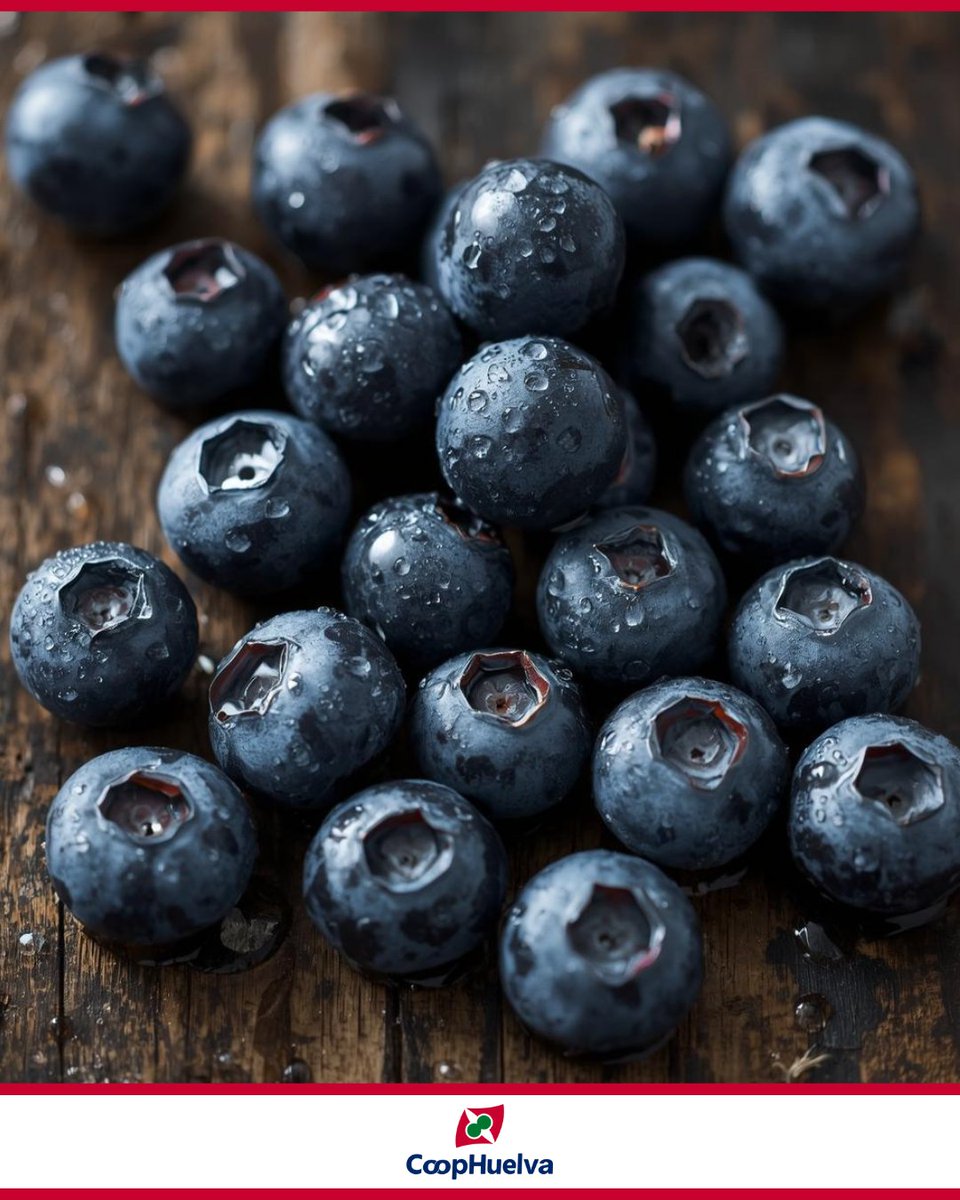 Los arándanos de CoopHuelva se cultivan prestando atención al equilibrio de la planta y al momento óptimo de recolección, buscando mantener sus características naturales y su firmeza.

#ServiciosAgrícolas #CooperativaHuelva #ApoyoAgrícola