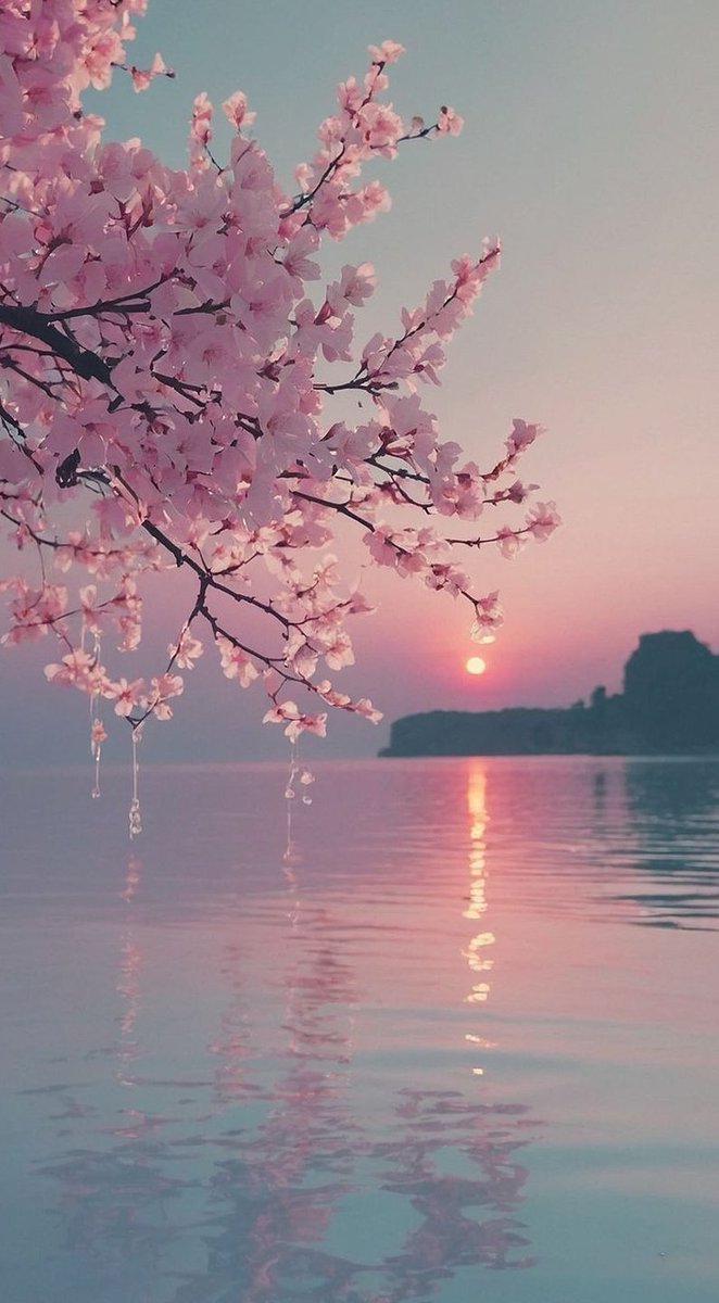 AlexNapp's tweet image. 電車の中で読んでた本が面白すぎて、降りる駅通り過ぎそうになった 👩‍👦