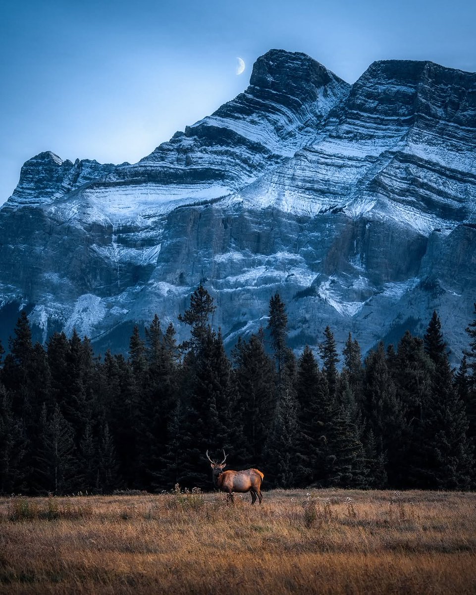visualsofearth1's tweet photo. Winter in the Canadian Rockies https://t.co/7CDkItAbk7