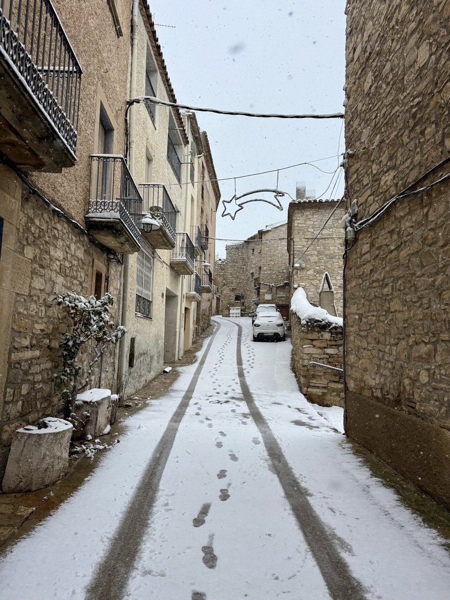 rfaflo's tweet photo. 7 cm de neu a Guimerà
Quanta saó pel sembrat!

@meteocat @mauri_francesc @meteorac1 

#guimerà #valldelcorb #baixasegarra https://t.co/BFt9lDFn5z