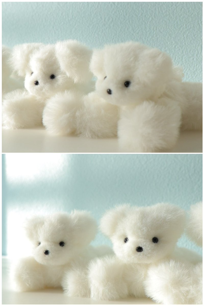 愛おしすぎるー🤍🤍