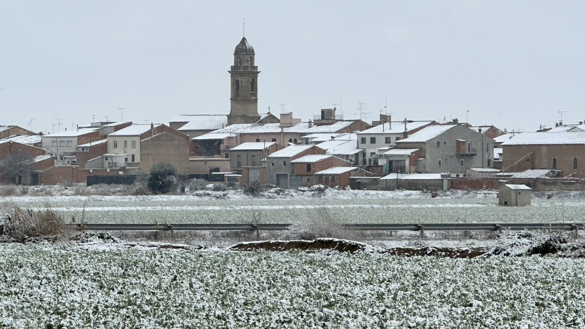 Xavier Coll tweet media