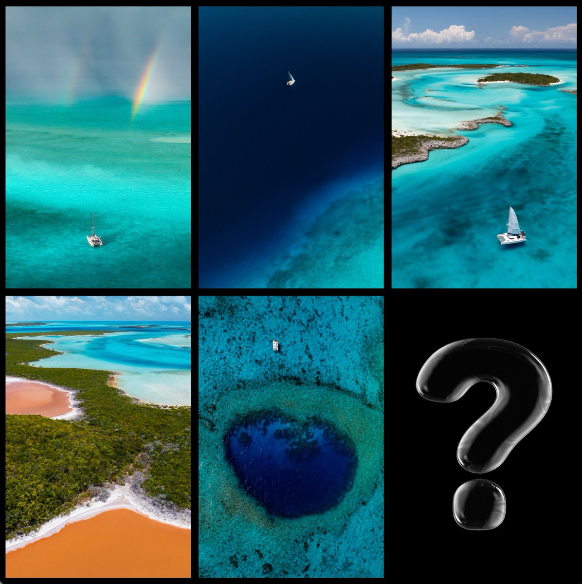 Intrepid tweet media