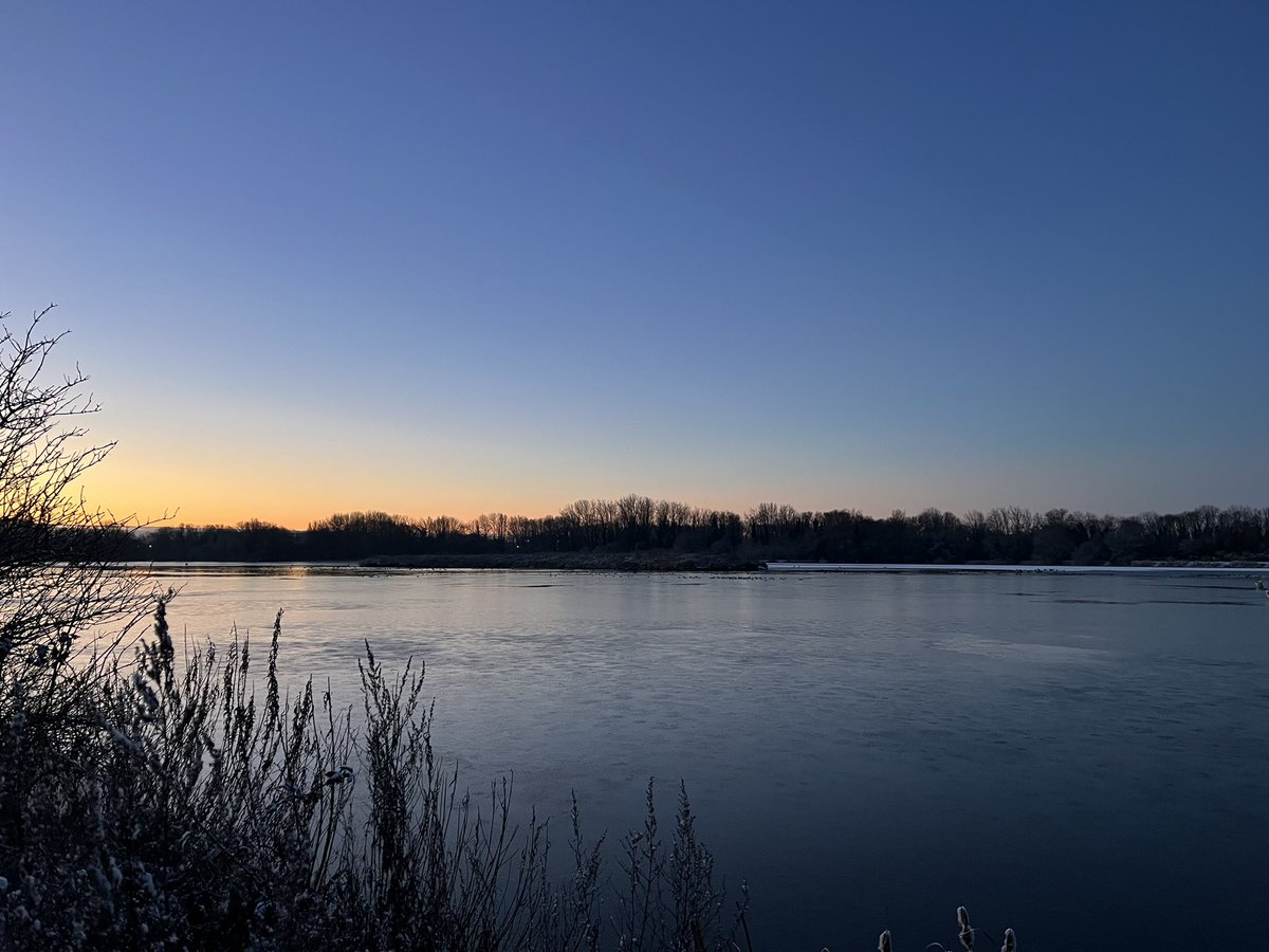 Jennings tweet media