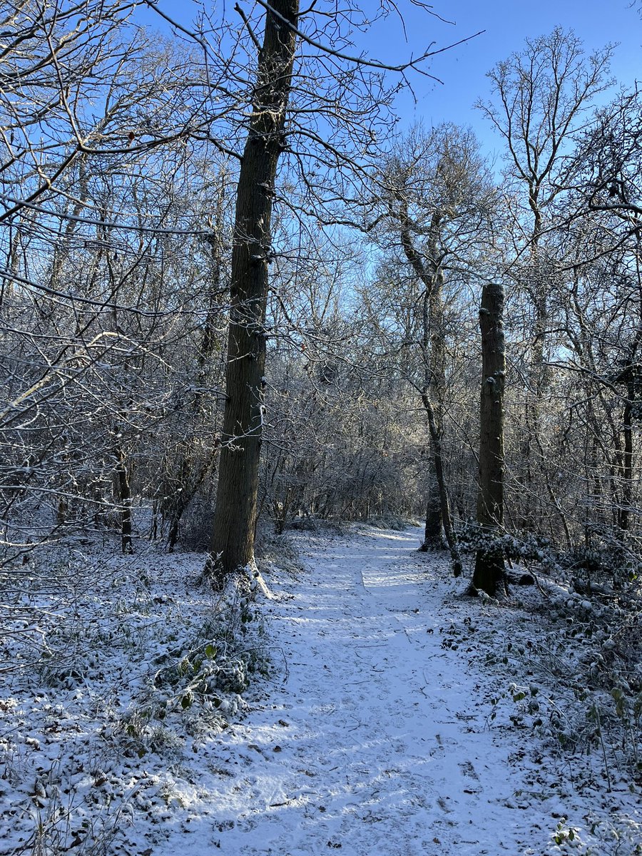 Jennings tweet media