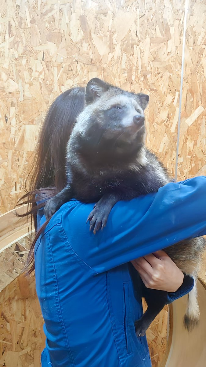 仕事始め 一緒にたぬき寝入りしとこうか…