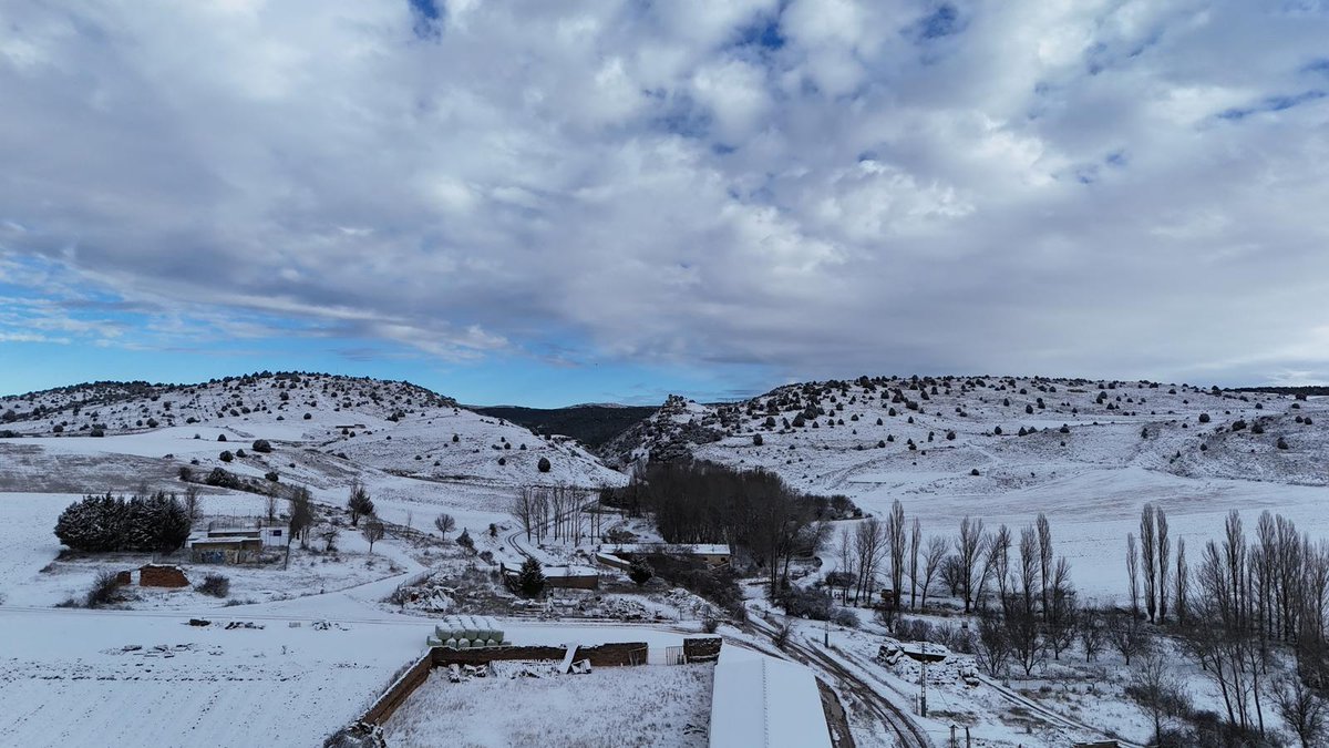 RILLO de GALLO tweet media