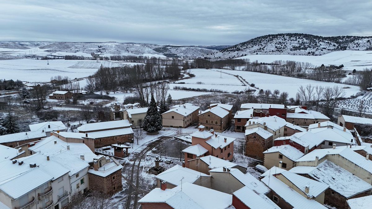 RILLO de GALLO tweet media