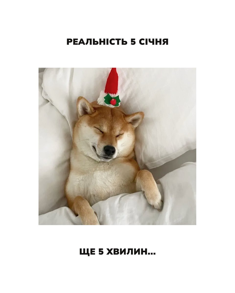 obmify's tweet image. Ділимось планами Obmify на 2026 ✨

• закритий збір «Азов на зв’язку» 🇺🇦
• розіграні подарунки 🎁
• щоб прод не лягав 🤞
• більше активності на наших сторінках 📲
• ще більше безпечних обмінів за приємним курсом 💜

А які плани у вас на 2026? 👇