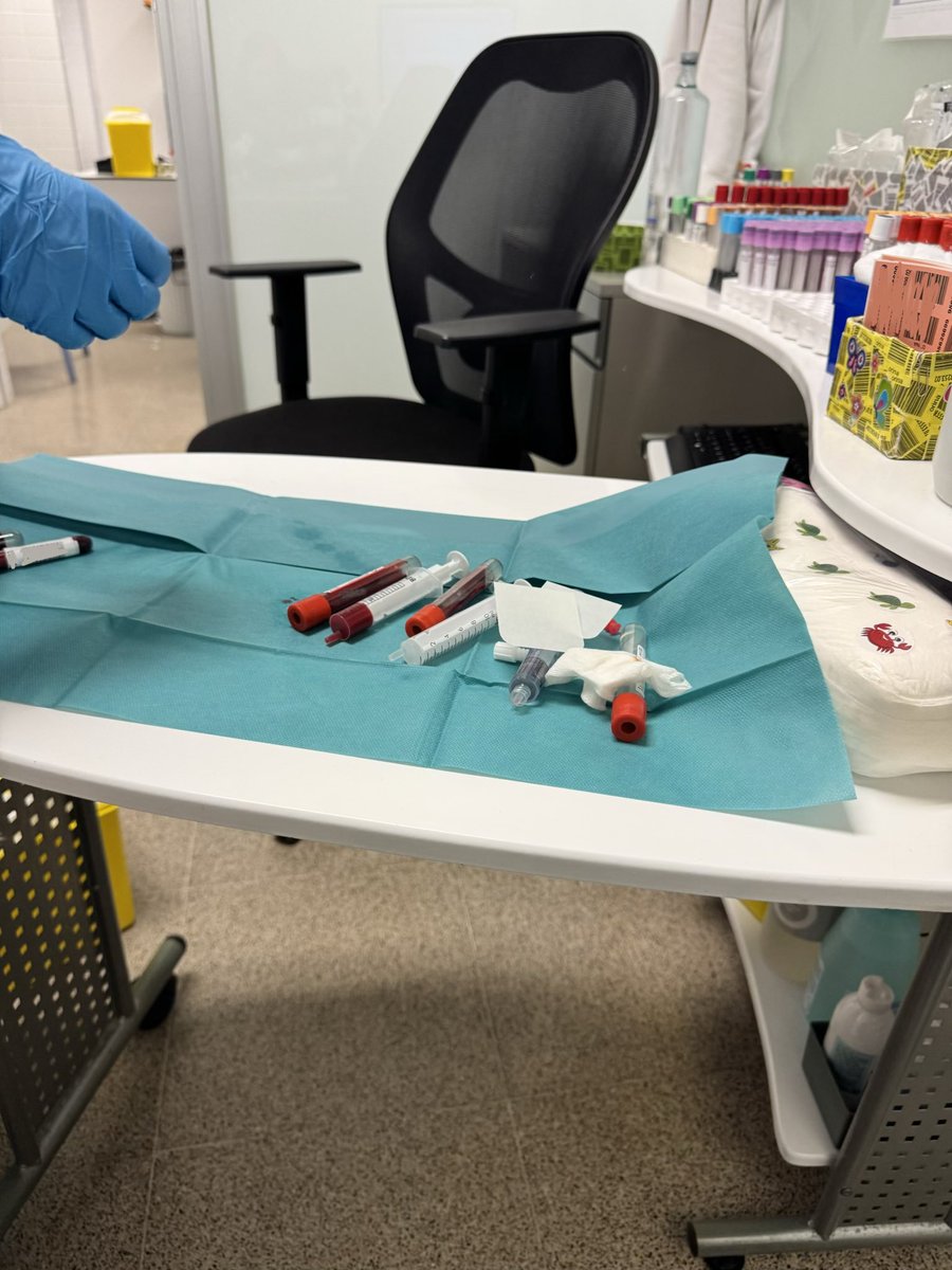 Hola, Melchor.

Siempre he sido de pedírtelo todo a ti.
Cuando era pequeña, cuando creía sin fisuras, cuando la noche del cinco de enero era un umbral y no una costumbre.
Hace años que perdí la magia, y en parte te digo que lo siento. No por ti, sino por mí.
Porque perder la