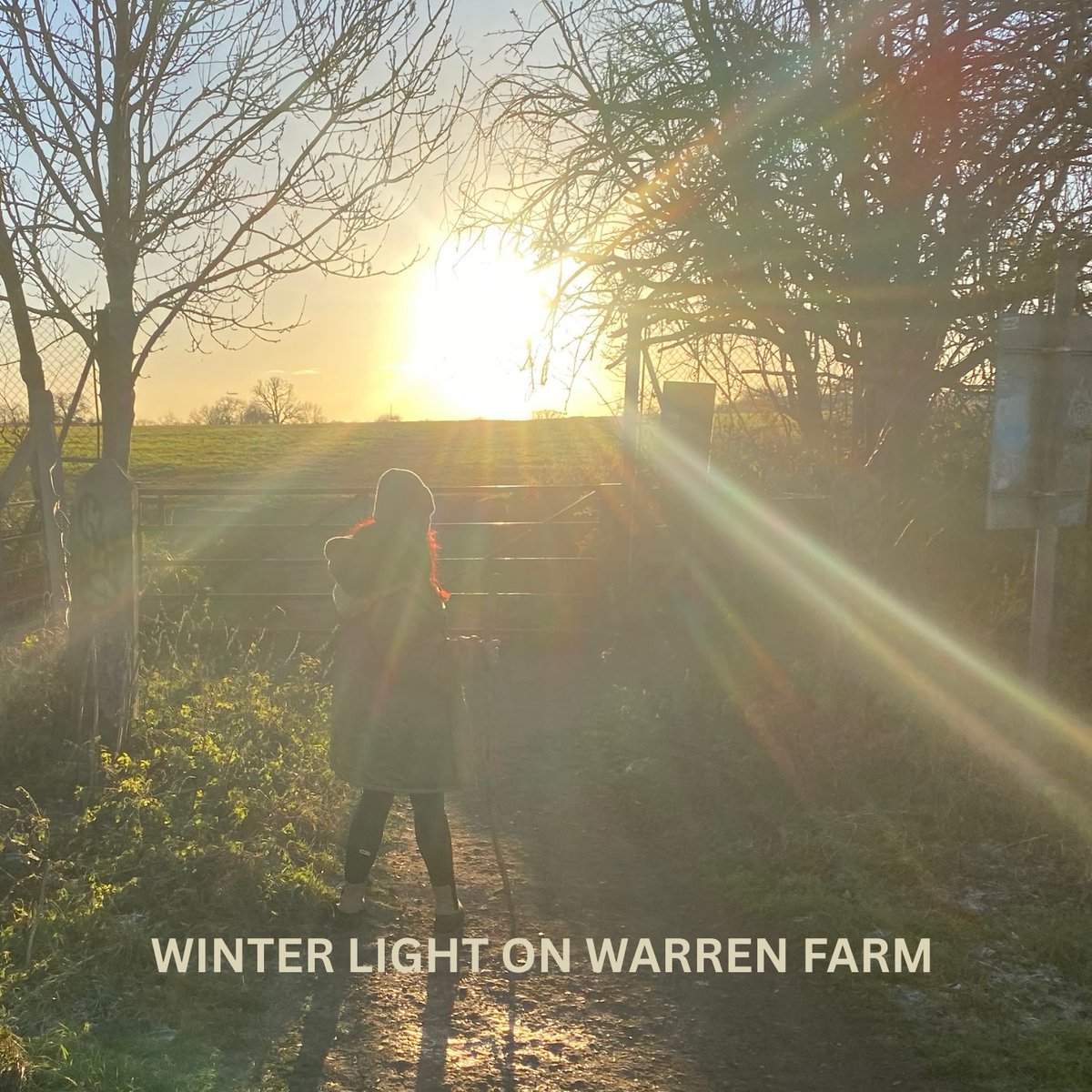 HanwellNature2's tweet photo. Crisp winter light over Warren Farm.

A place of recovering wildlife, calm, and connection — moments like this are a reminder of why this land matters so much to the whole community.
Some spaces are too precious not to care for together.
#Hanwell #UrbanNature #GreenSpace https://t.co/7ZsdppDoF5