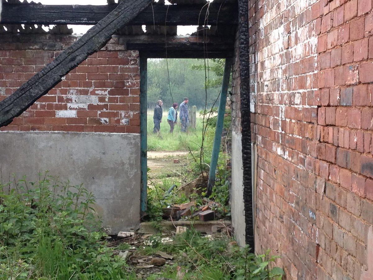 Jay Hall tweet media