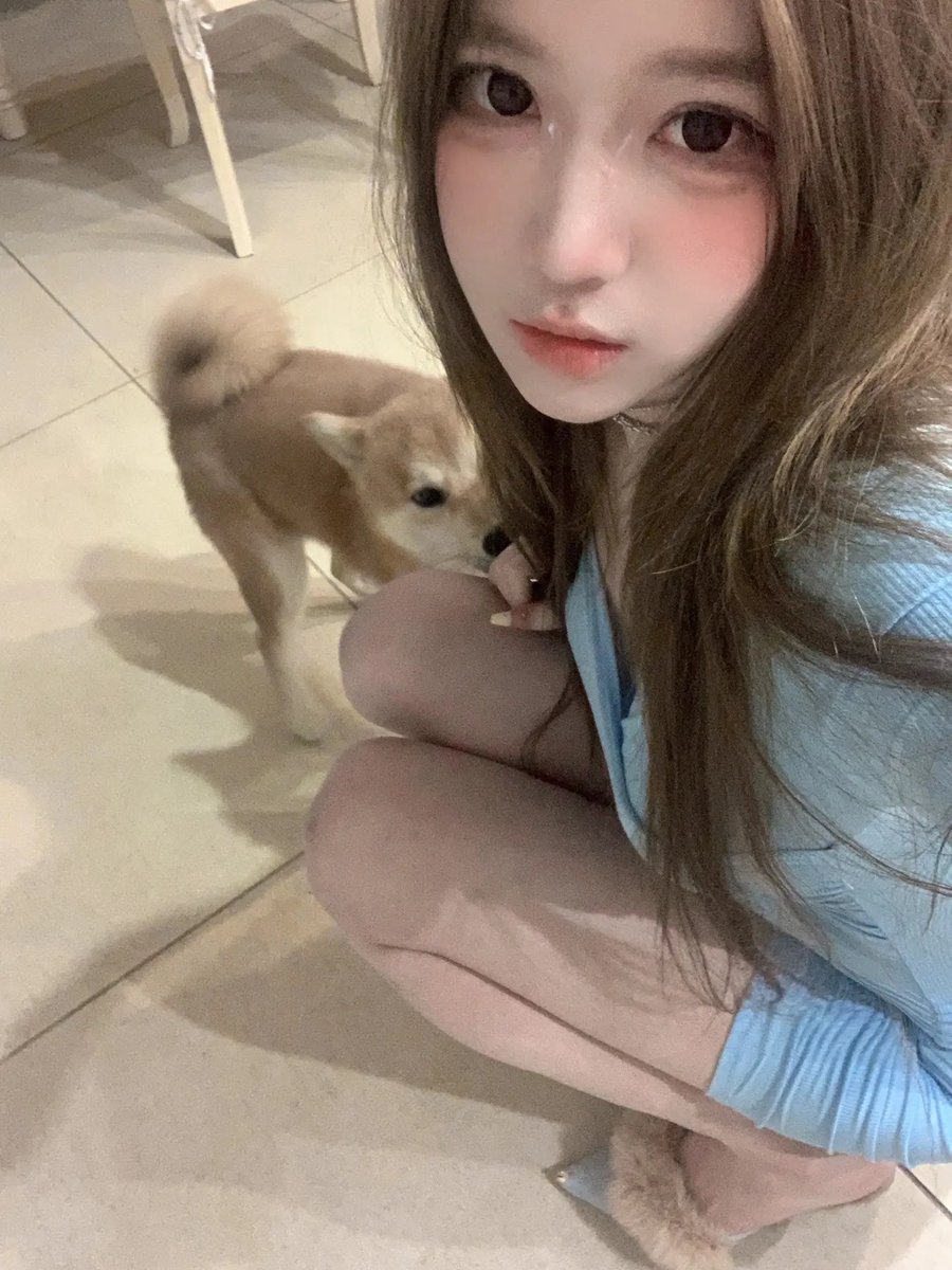 我身边的小狗是你变的吧？ https://t.co/XuOINiWKKL